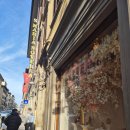 미술관옆약국 이미지