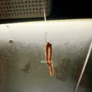 제이엔디 이미지
