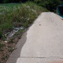 노은면사무소 이미지