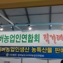 숙이네농산