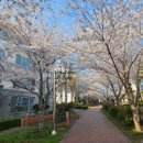 라온제주영어교육도시공인중개사사무소 이미지