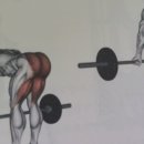 SG피트니스 이미지