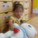 서정동물병원 이미지