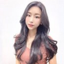 메종드제이 이미지