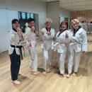 봉황태권도 이미지