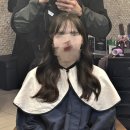 제이브루 이미지