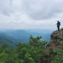 연석산&숲 이미지