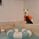 멍펜션5 이미지