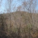 이화펜션 이미지