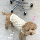 순수 금천독산점 이미지