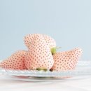 멜론2 이미지