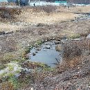 음지리농장 이미지