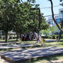 장경리해변 야영장 이미지