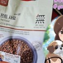 보리소프트 이미지