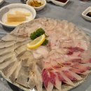 도시어부&미쓰물회 이미지