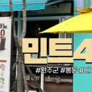 민트42 이미지
