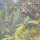 만수약수터 이미지