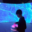 과학으로 뚝딱 | [어린이체험 EP.4] 초등아이와 함께 국립부산과학관 특별전 '골때리는 뇌과학'