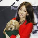 순심이