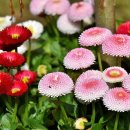 황산사거리.풍산동행정복지센터 | 112-5 버스노선
