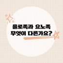 요노