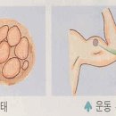 B&R휘트니스 네이버블로그