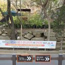 1단지와 11단지 사잇길(내점길) | [과천/사당 등산] 봄날엔 관악산. 활짝 핀 벚꽃에 기분 좋은 과천향교 코스!