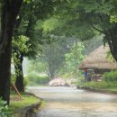 함평 자형정 이미지