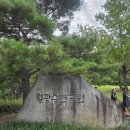 호수공원수변공원축제용 | #월광수변공원