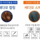 쎄다모 이미지
