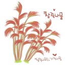 참죽 사랑