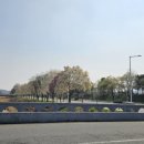 병영사격 | 종합군수학교 간부들과 함께한 응급처치 및 화전안전교육 후기_0402