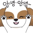 늘맹호수제돈까스 네이버블로그