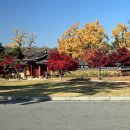 광주향교 이미지