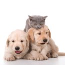 하림 약국 이미지