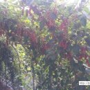 연우네 농장 이미지