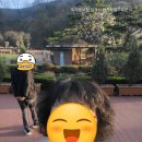 도마2동행정복지센터 | 도마동보험대리점/도솔로74/보험무료보장분석/도마동보험/도마동가볼만한곳/대전보험설계사/도마동보험...