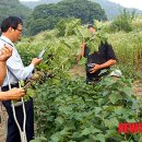 김옥태 농장 이미지