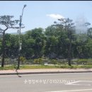 산청약초식당 이미지