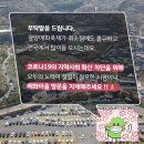 (주)지산농원 이미지