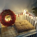 딜라잇독 이미지