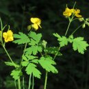 낭성산성 이미지