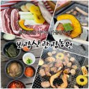 충북 괴산 가볼만한곳 돼지고기 맛집 보광산관광농원 에서 삼겹살 목살 바베큐 먹고 아이와 행복한 시간
