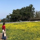 기호목장 이미지