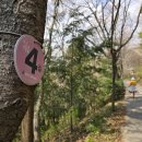 도심건강길 4길 이미지
