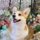 오늘, 더 예쁘게 이미지