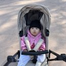 아기 옷 OOTD · ( 드타미 ,아그데키즈 ,오프오프스튜디오 , 보나츠 ,키뷰올 ,샵보엔,베베소유, 아우프)