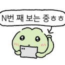 스테이오온