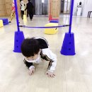 유나이티드 미르태권도장 이미지