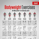 서문헬스 이미지